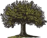 memoria homepage